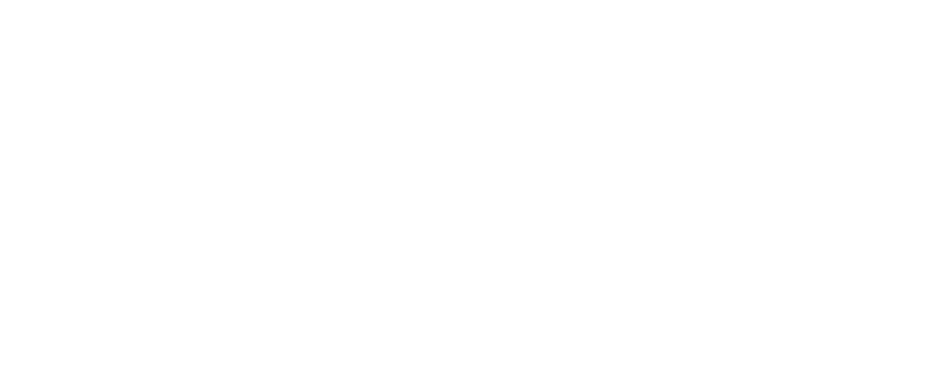 brand-guidlines