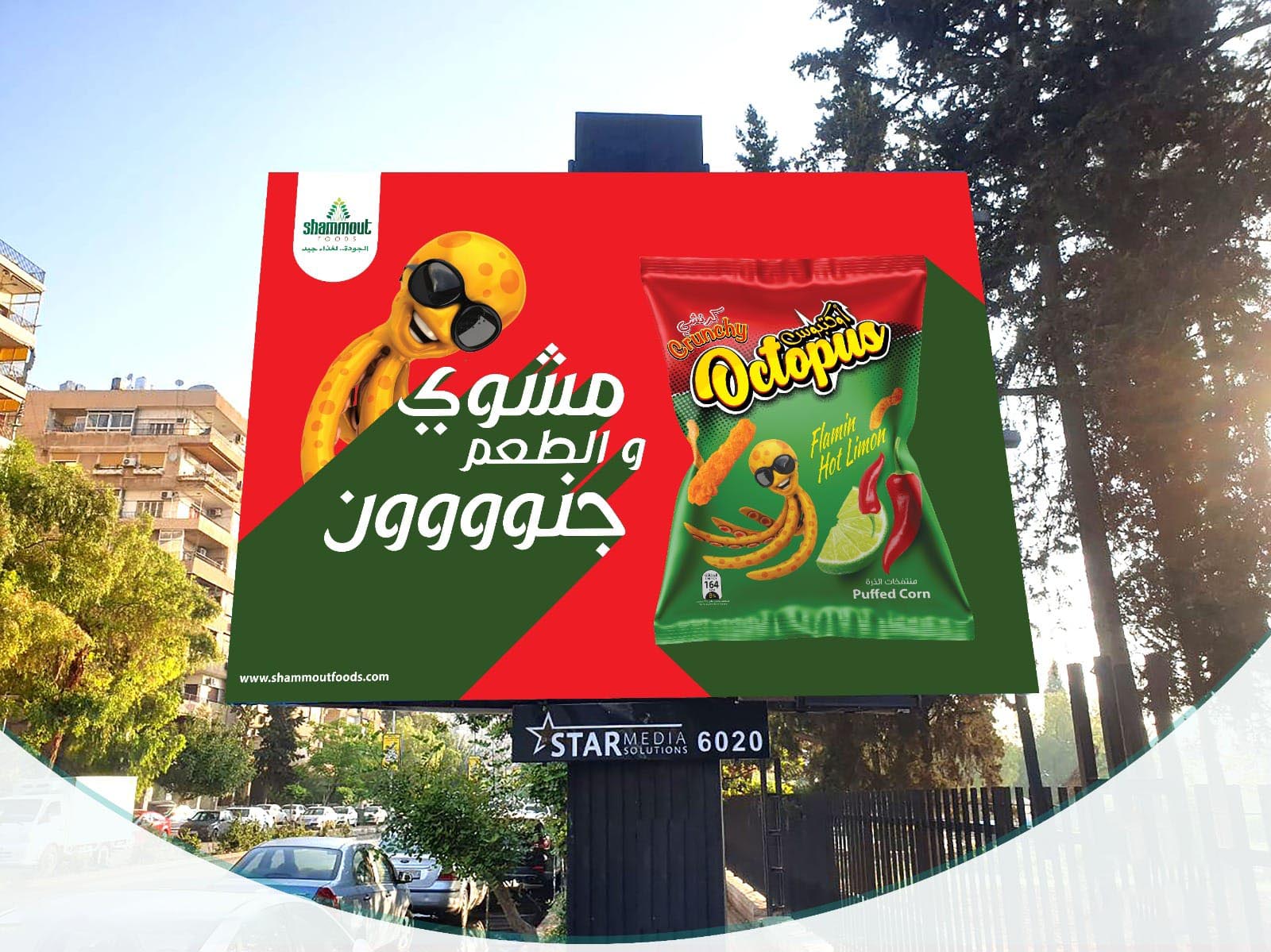 من أعمال وكالة الأرجواني — 66